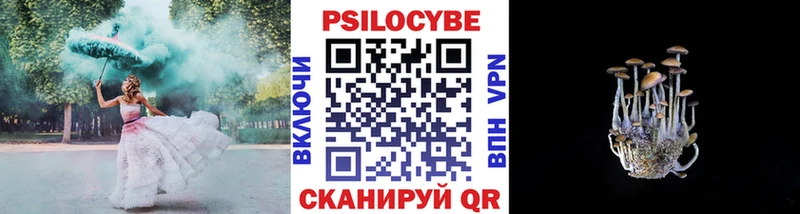 Псилоцибиновые грибы Psilocybine cubensis  как найти закладки  Неман 